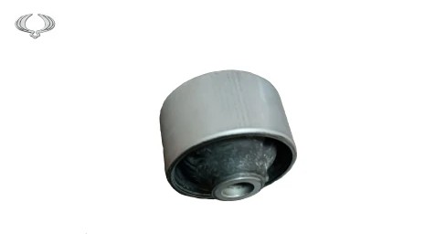 بوش طبق بزرگ جلو چپ سانگ یانگ تیوولی