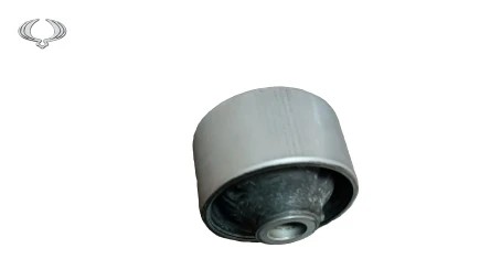 بوش طبق بزرگ جلو راست سانگ یانگ تیوولی