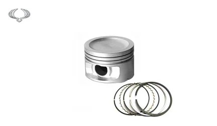 رینگ و پیستون سانگ یانگ تیوولی
